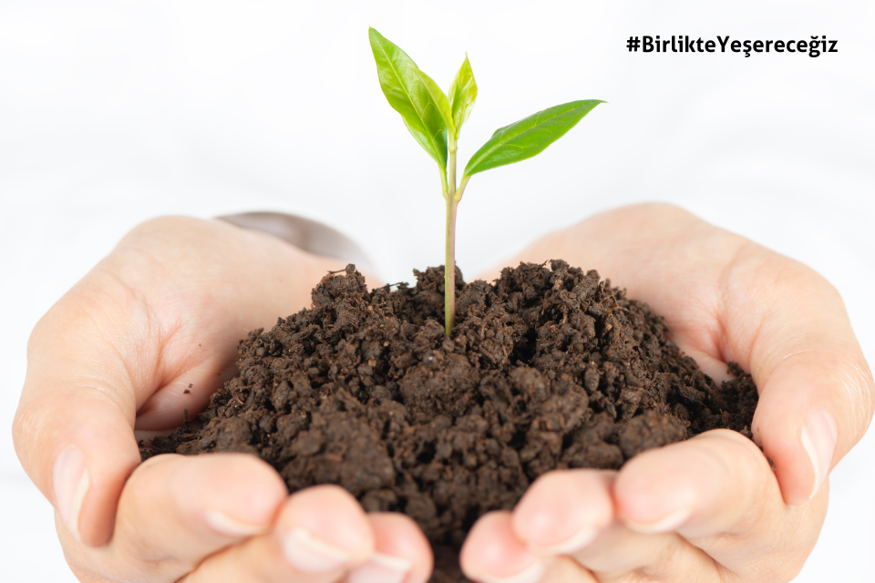 Kayıt Olan Her Öğrenci İçin Bir Fidan